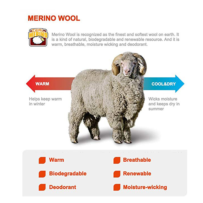 ZEALWOOD kaus kaki Trekking Pr - Wool Hiking Sock ulasan dan harga